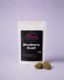 Blueberry Kush CBD Flower front view, white resealable bag on a pale lilac studio background